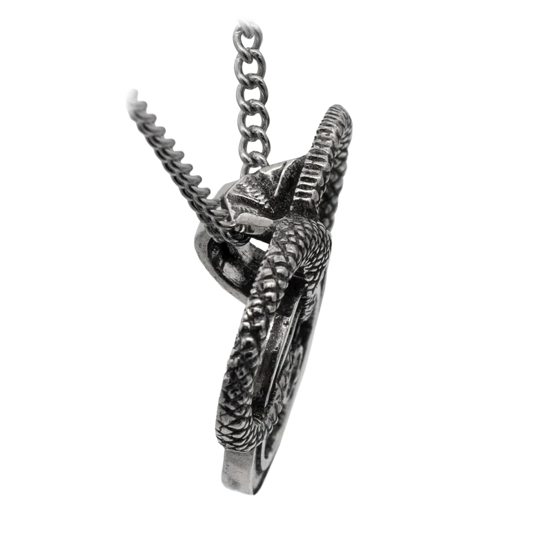 Snake and Wheel Necklace - Sterling Silver or Bronze