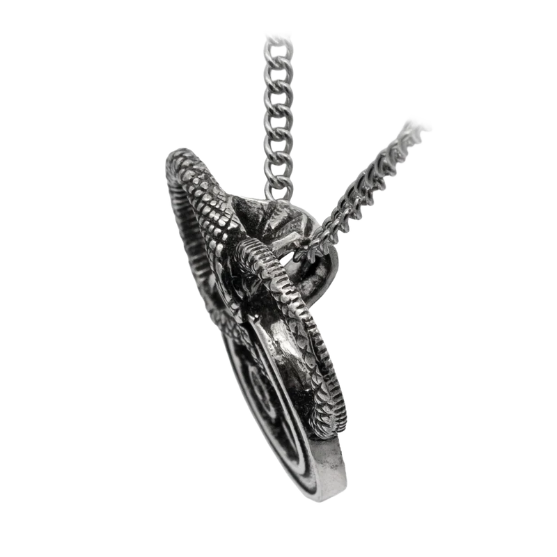 Snake and Wheel Necklace - Sterling Silver or Bronze
