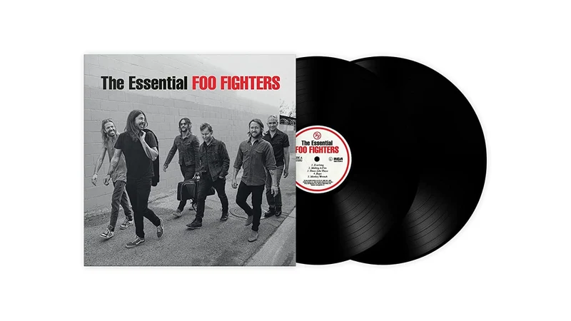 2LP Foo Fighters | The Essential