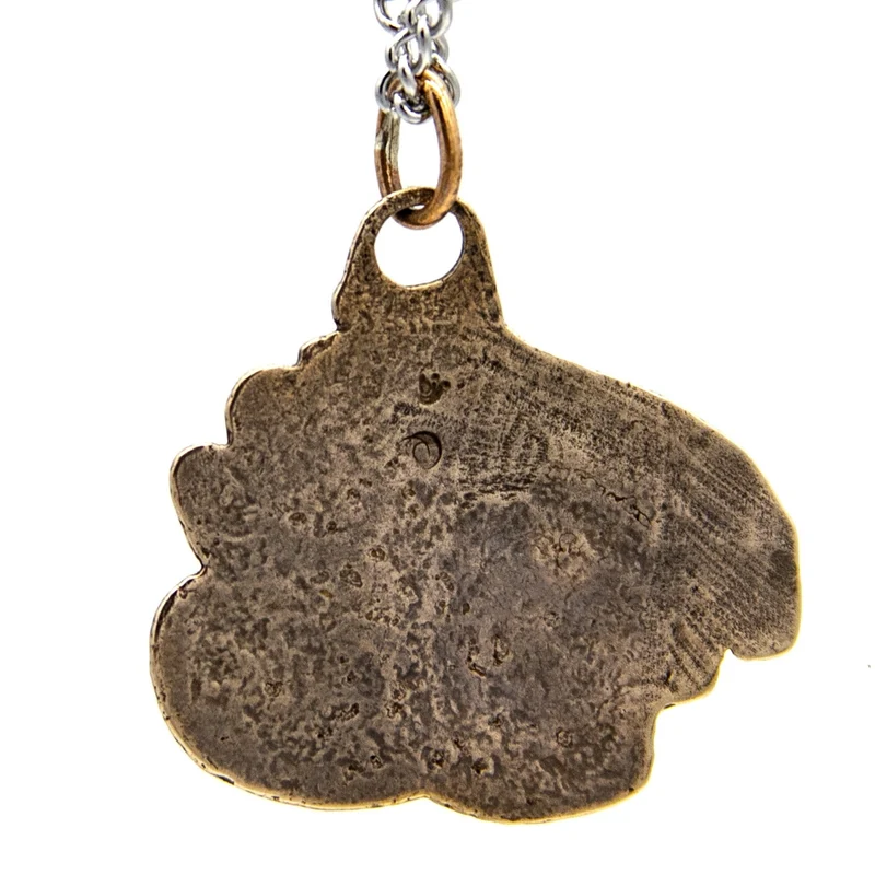 Medallón de bronce de Rock Ward