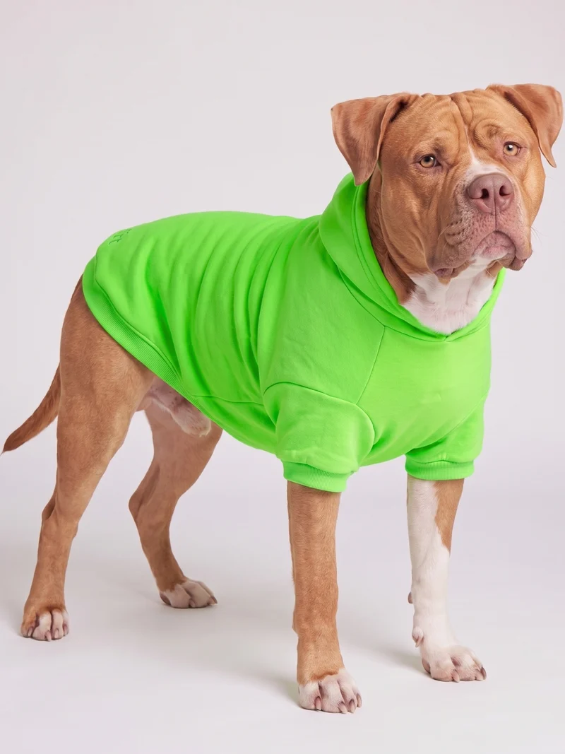 Neon Minimalist Paw Hoodie