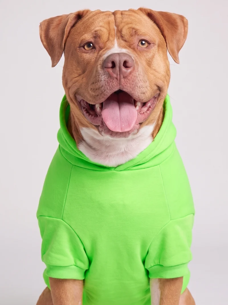 Neon Minimalist Paw Hoodie