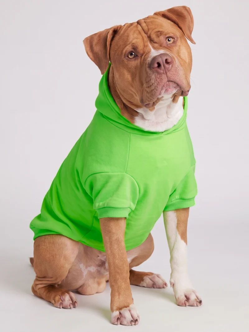 Neon Minimalist Paw Hoodie