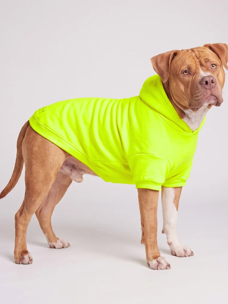 Neon Minimalist Paw Hoodie