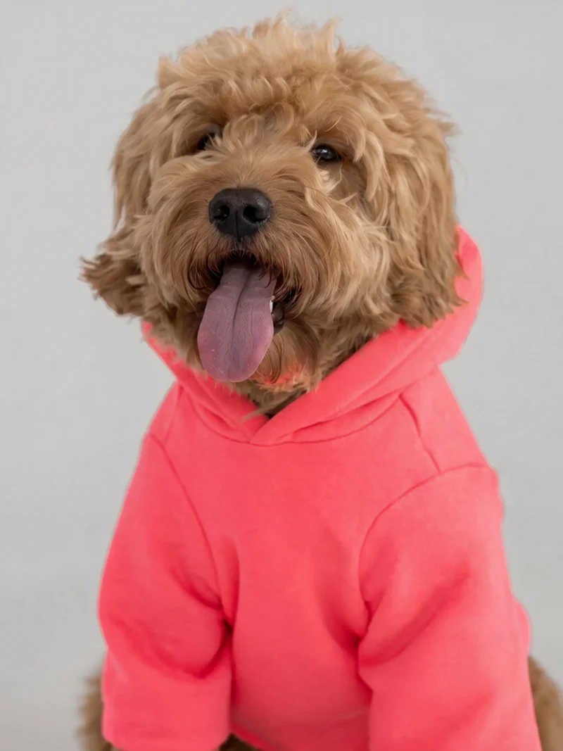 Neon Tranquil Paw Hoodie