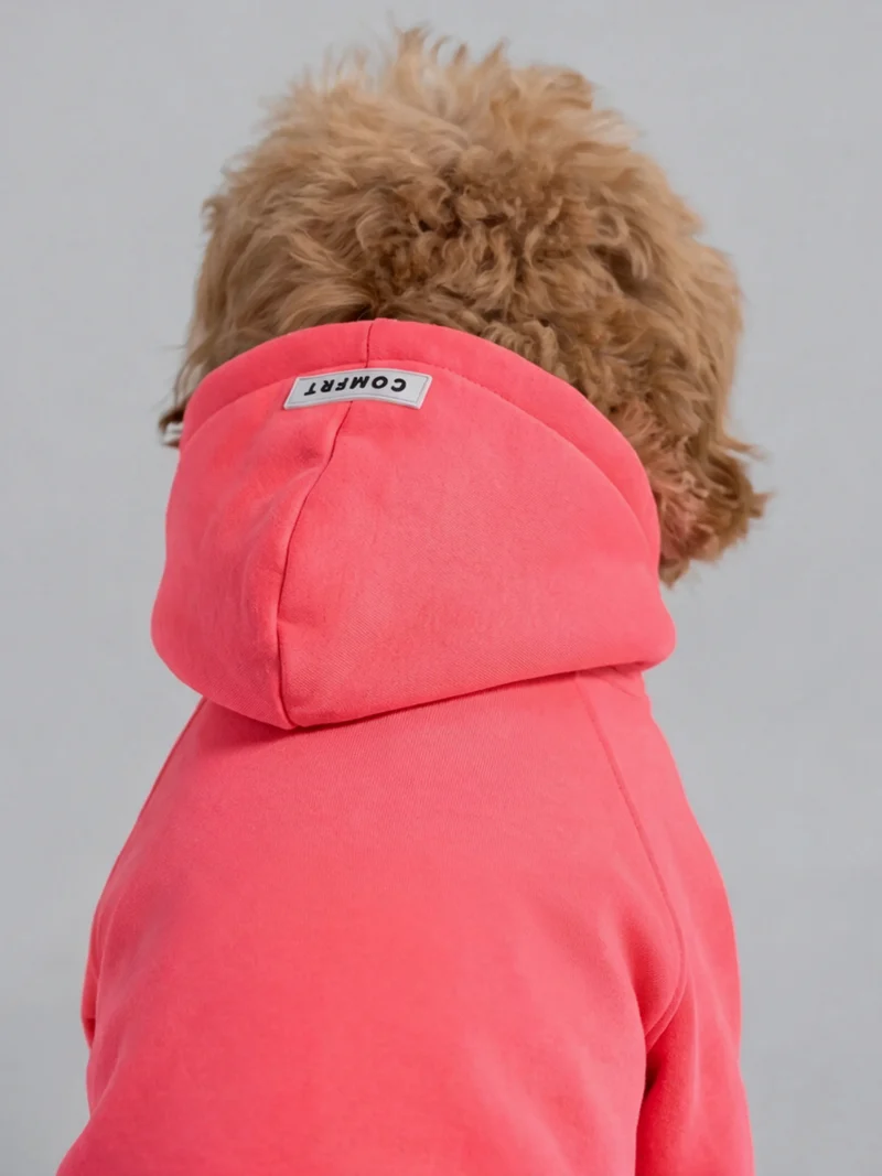Neon Tranquil Paw Hoodie