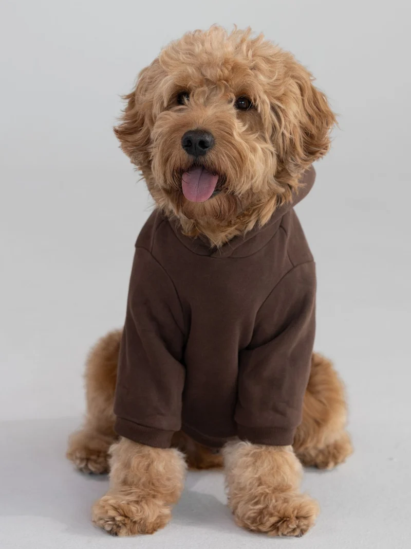 Standard Paw Hoodie