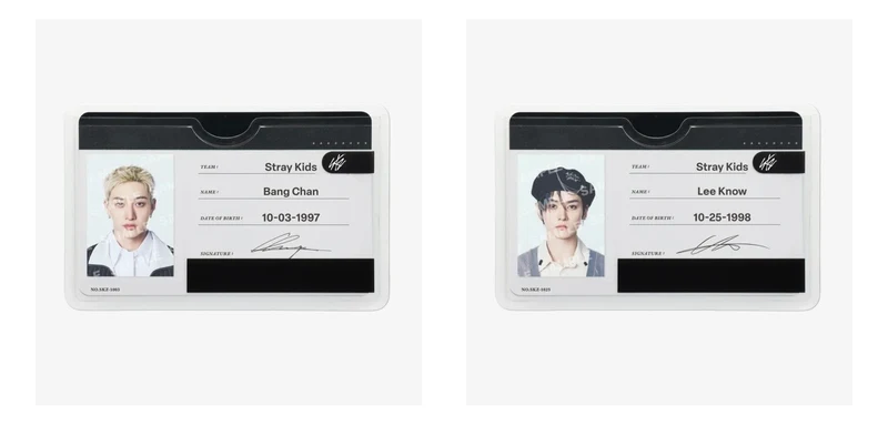 [STRAY KIDS] Run It : Japan : Profile Card Set