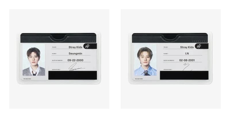[STRAY KIDS] Run It : Japan : Profile Card Set