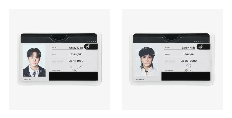 [STRAY KIDS] Run It : Japan : Profile Card Set