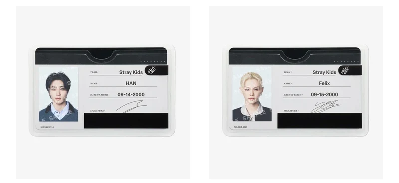 [STRAY KIDS] Run It : Japan : Profile Card Set