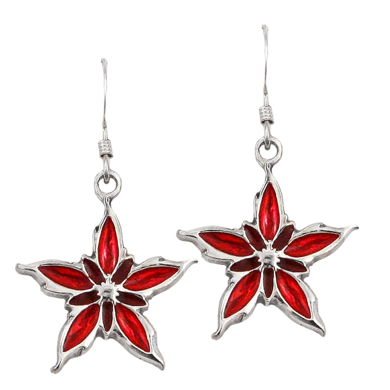 Pendientes Nalthis esmaltados