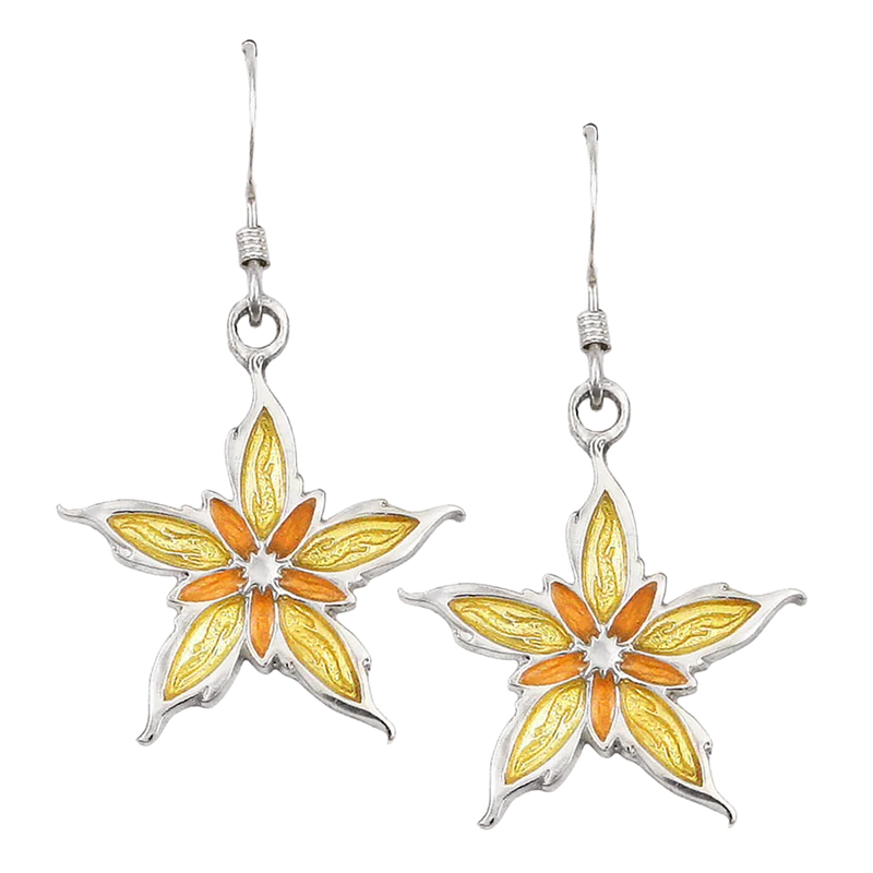 Pendientes Nalthis esmaltados