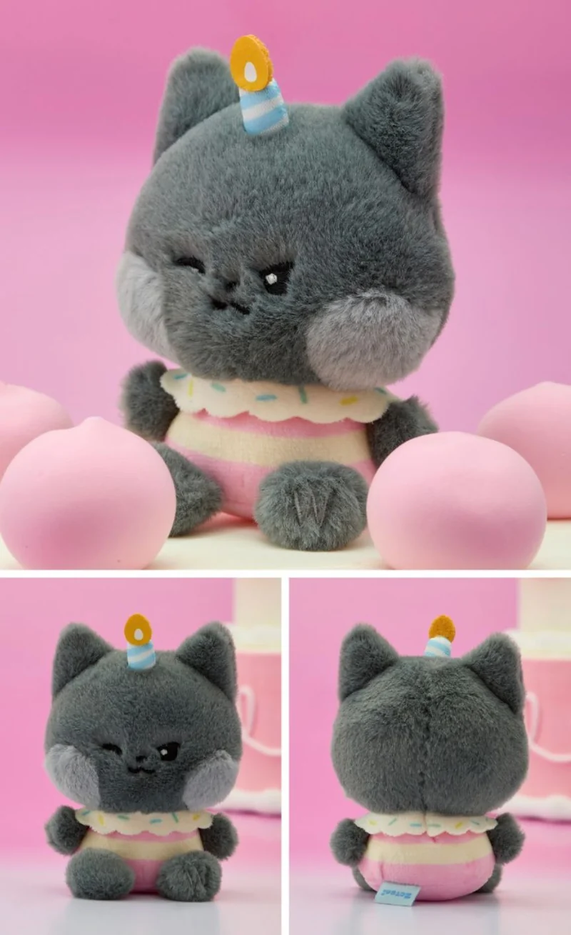 ZB1 - ZERONI MINI PLUSH HOME PARTY
