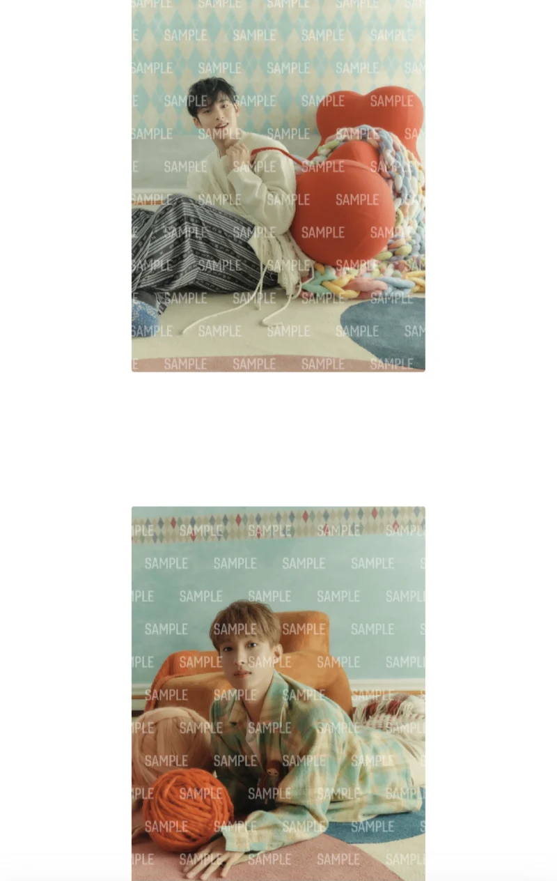 [SEVENTEEN] Japan Single : Power Of Love : Photo Canvas