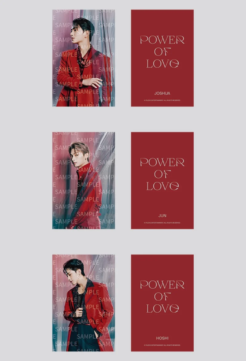 [SEVENTEEN] Power Of Love : Mini Luggage Bag (Pink)