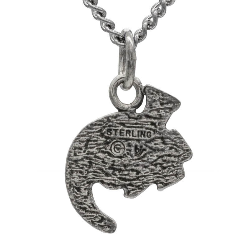 Steel Allomancer Necklace