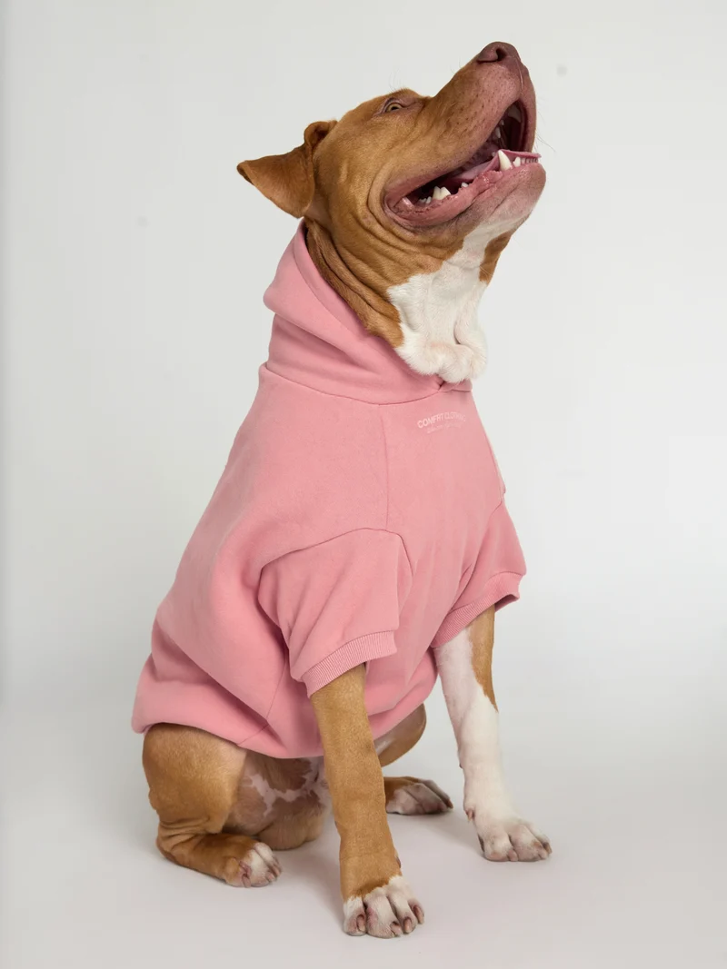 You Matter Paw Hoodie