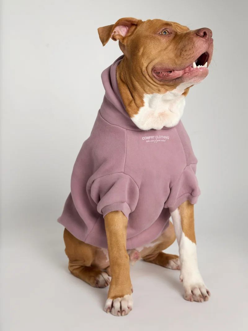 You Matter Paw Hoodie