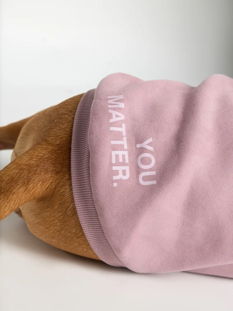 You Matter Paw Hoodie