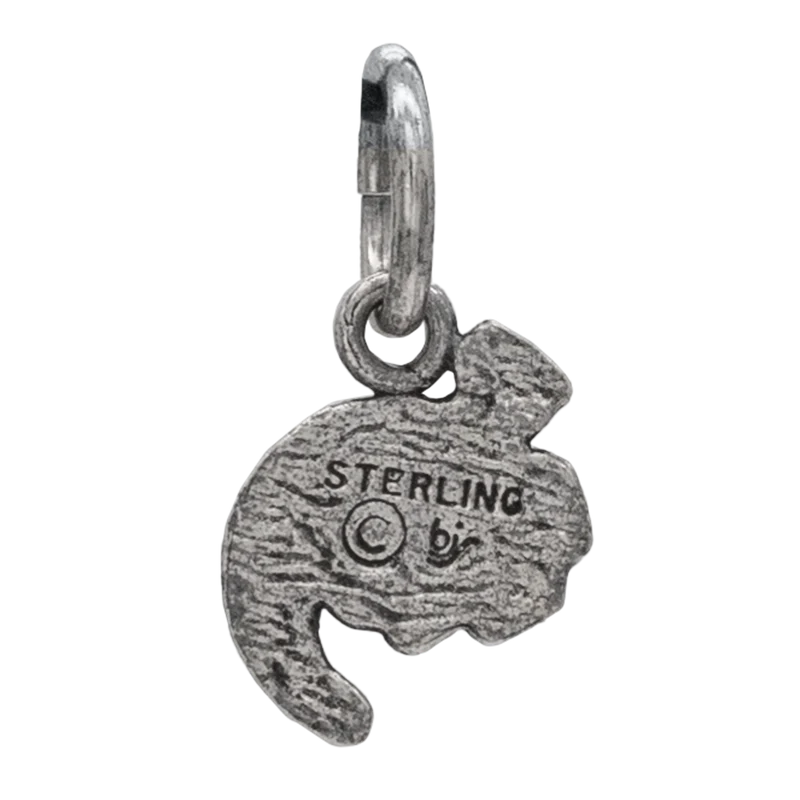 Charm de alomántico de acero