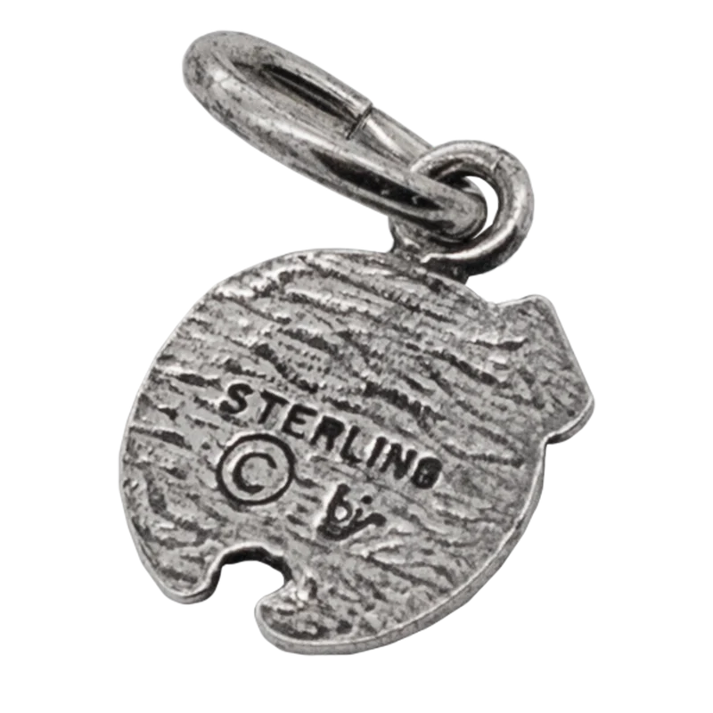 Charm Nicrosil Allomancer