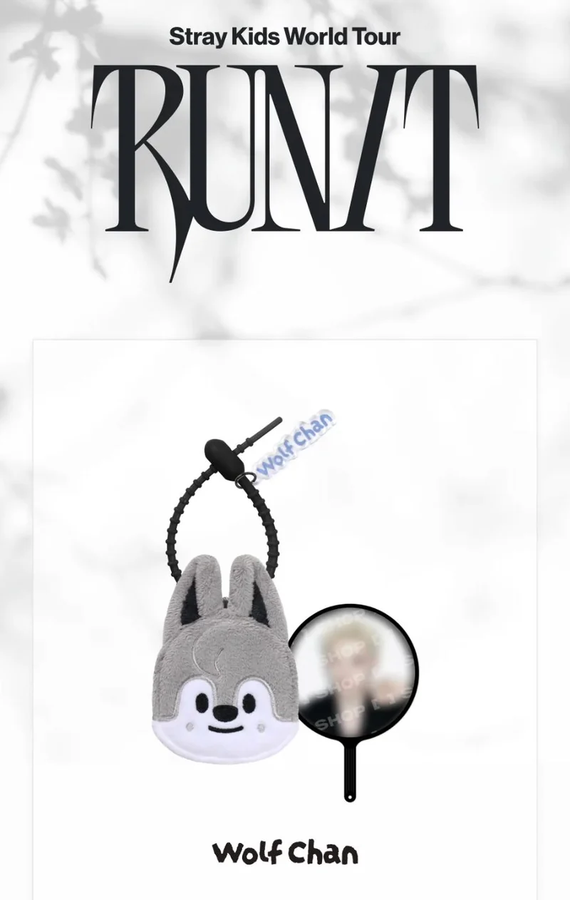 STRAY KIDS - WORLD TOUR 'RUN IT' MD