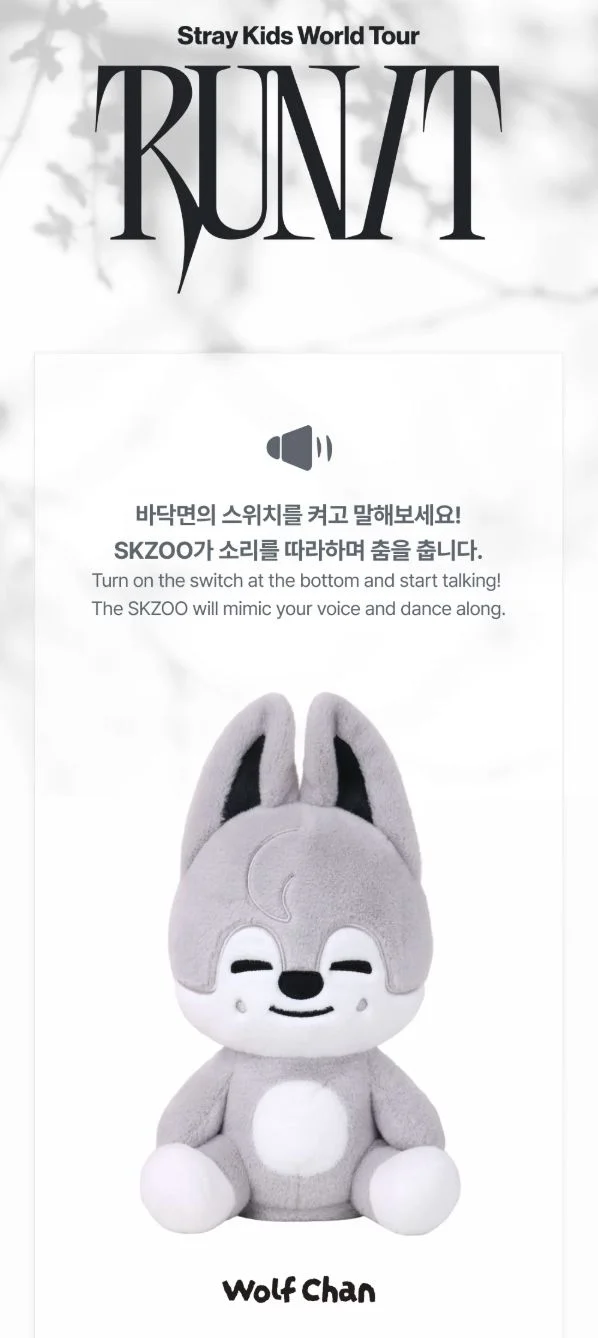 STRAY KIDS - WORLD TOUR 'RUN IT' MD