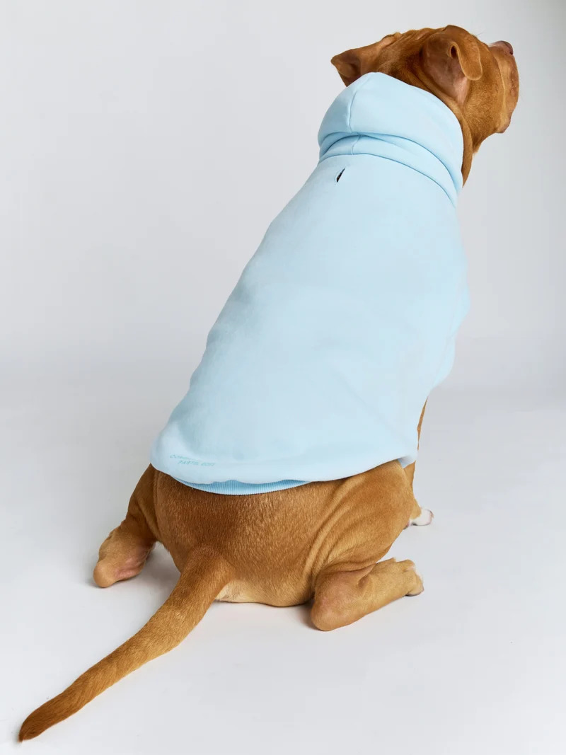 Pastel Paw Hoodie - Pre Order