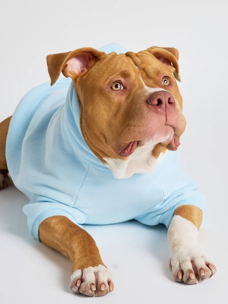 Pastel Paw Hoodie - Pre Order
