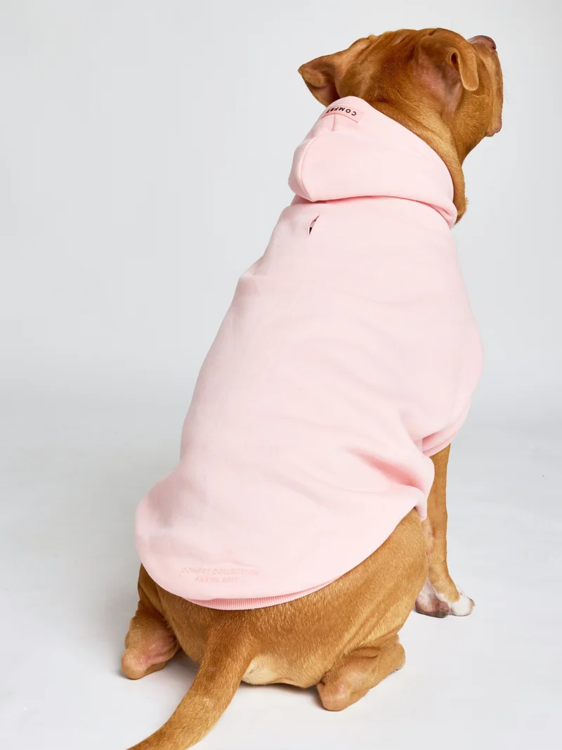 Pastel Paw Hoodie - Pre Order