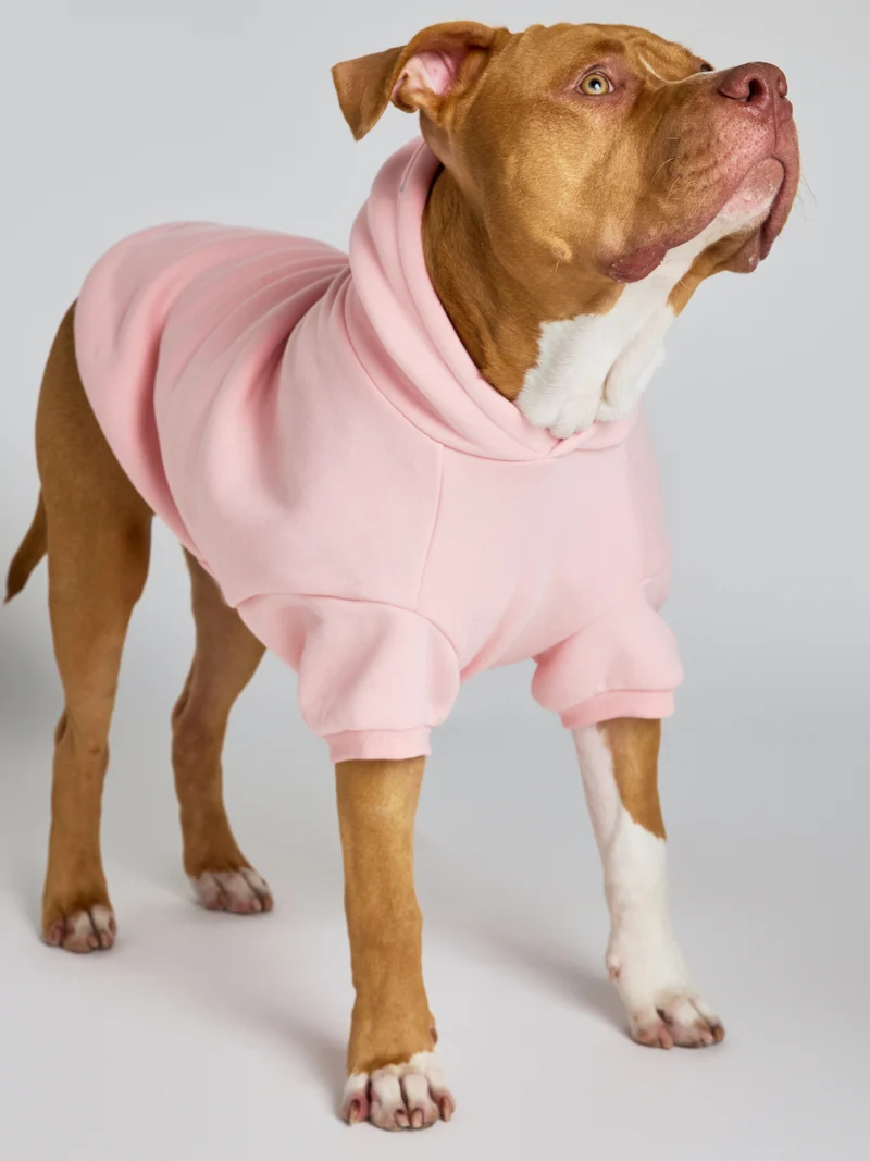 Pastel Paw Hoodie - Pre Order