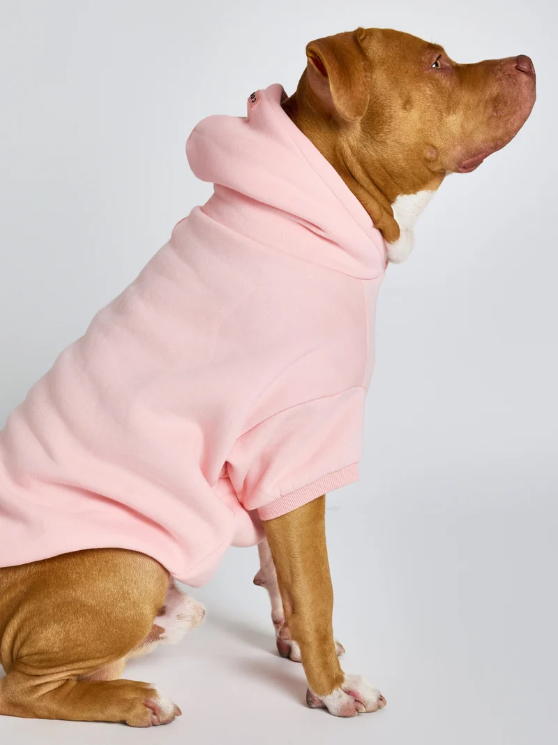 Pastel Paw Hoodie - Pre Order