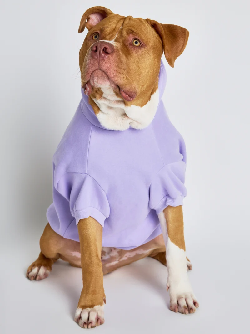 Pastel Paw Hoodie - Pre Order