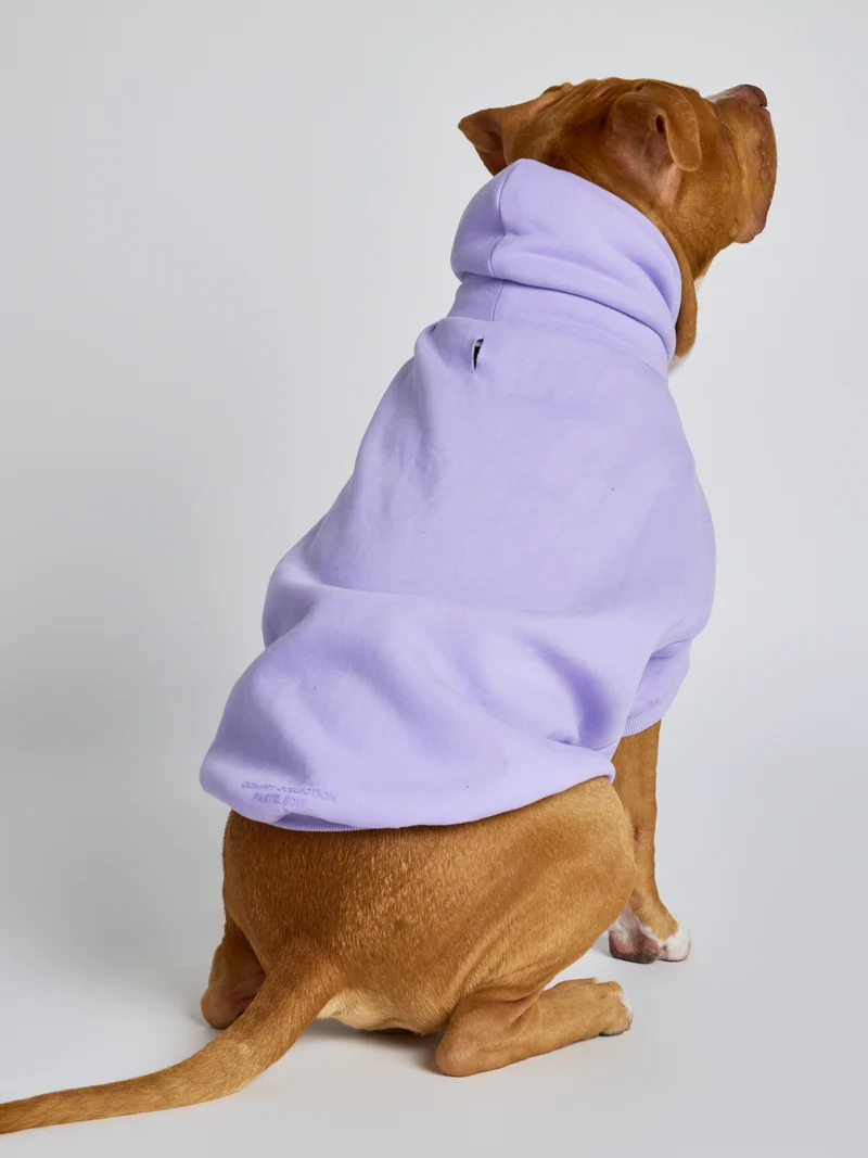 Pastel Paw Hoodie - Pre Order