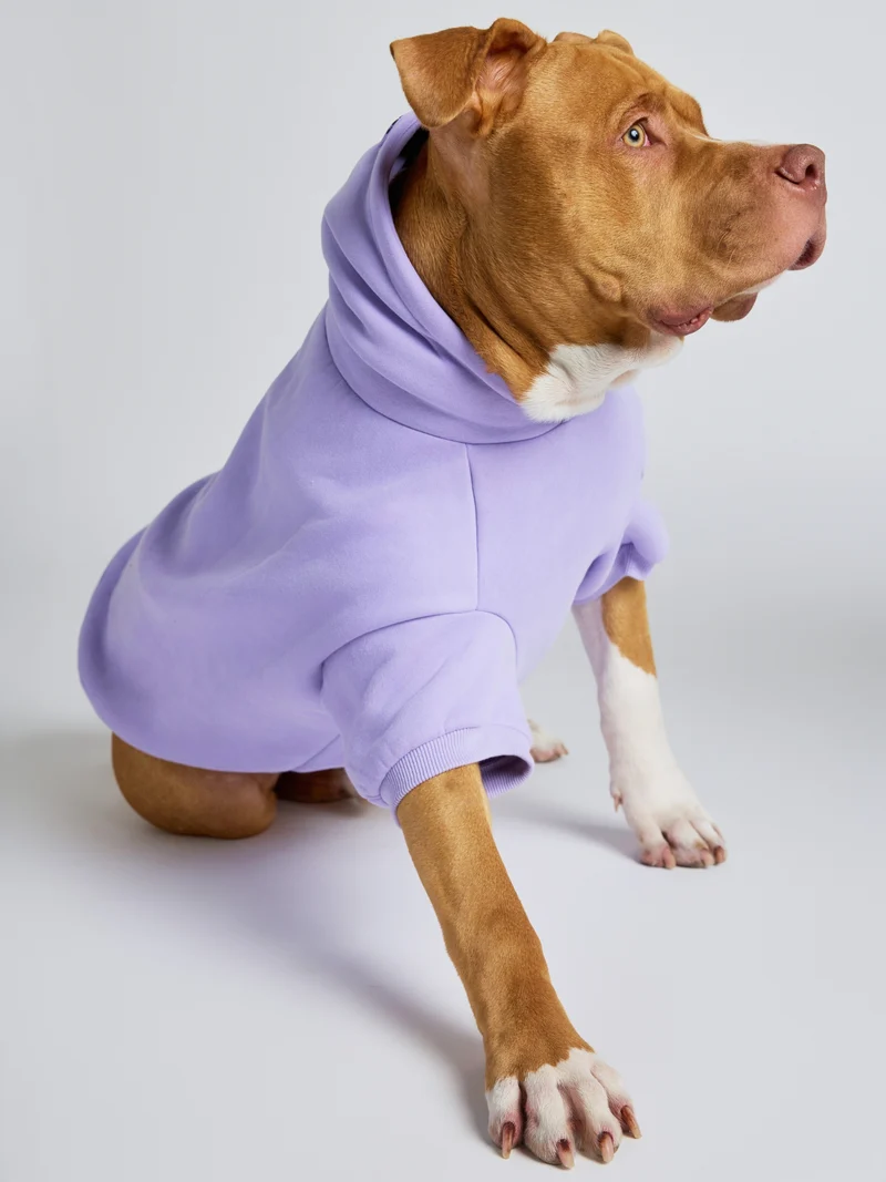 Pastel Paw Hoodie - Pre Order
