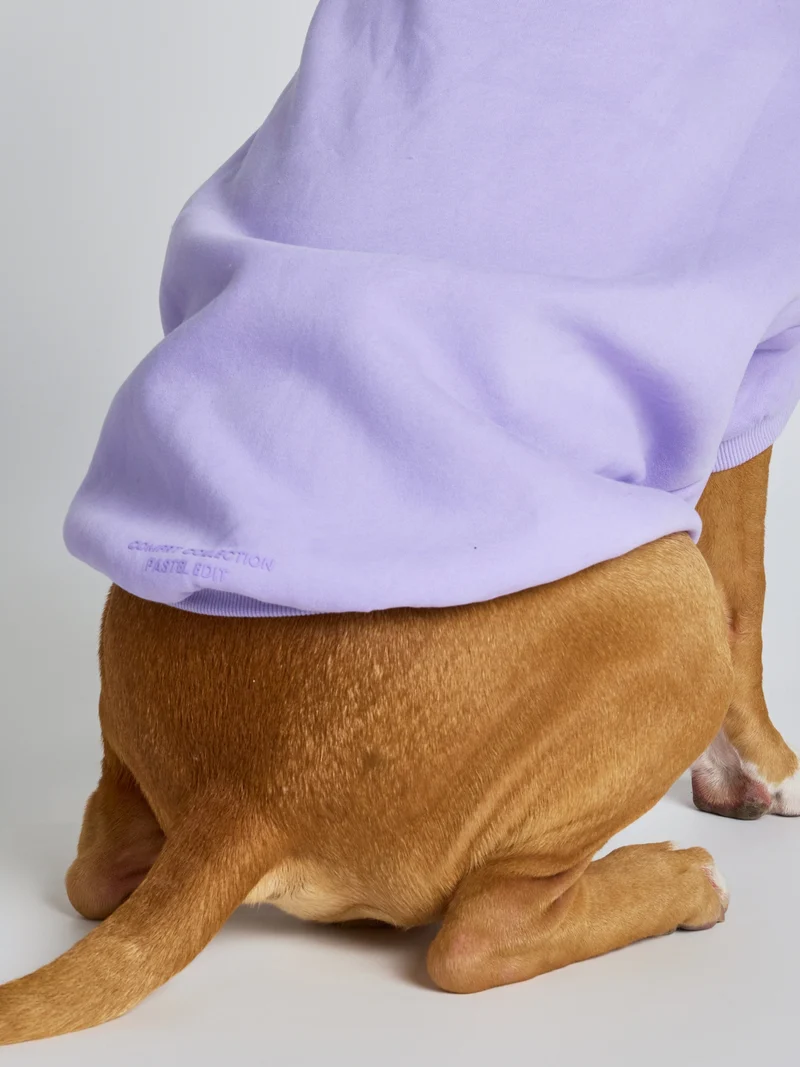 Pastel Paw Hoodie - Pre Order