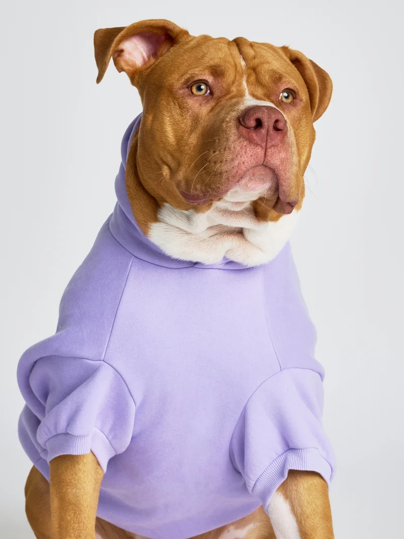 Pastel Paw Hoodie - Pre Order