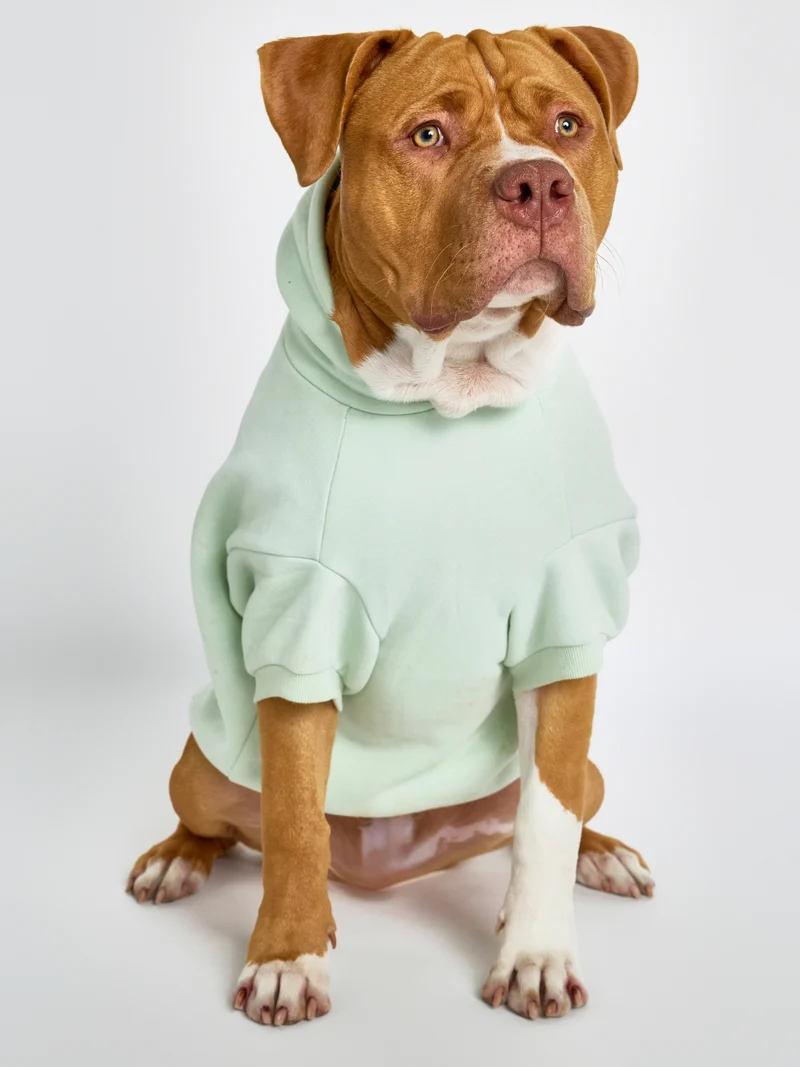 Pastel Paw Hoodie - Pre Order