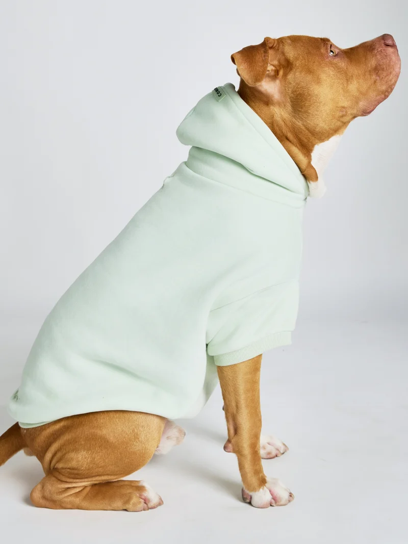 Pastel Paw Hoodie - Pre Order