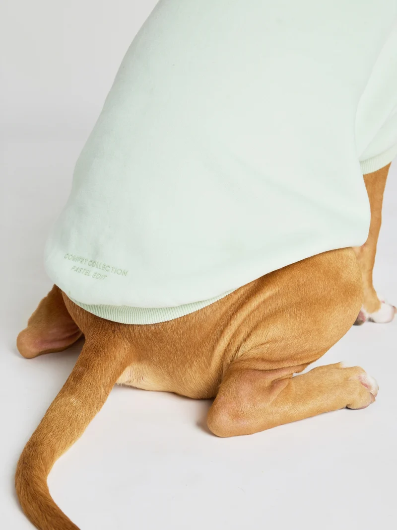 Pastel Paw Hoodie - Pre Order