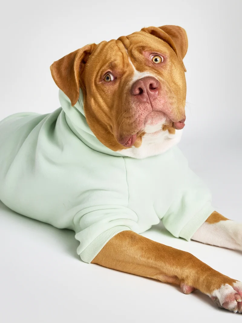 Pastel Paw Hoodie - Pre Order