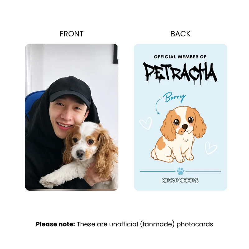 Stray Kids PetRacha Photocard Set | K-Pop Collectible
