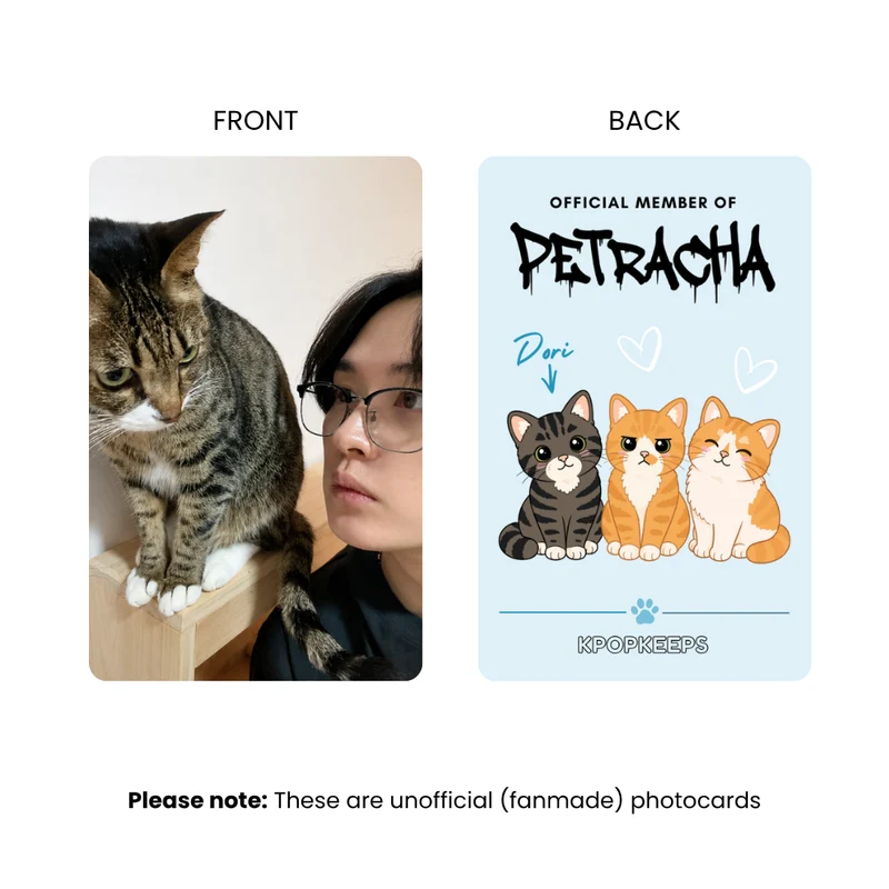 Stray Kids PetRacha Photocard Set | K-Pop Collectible