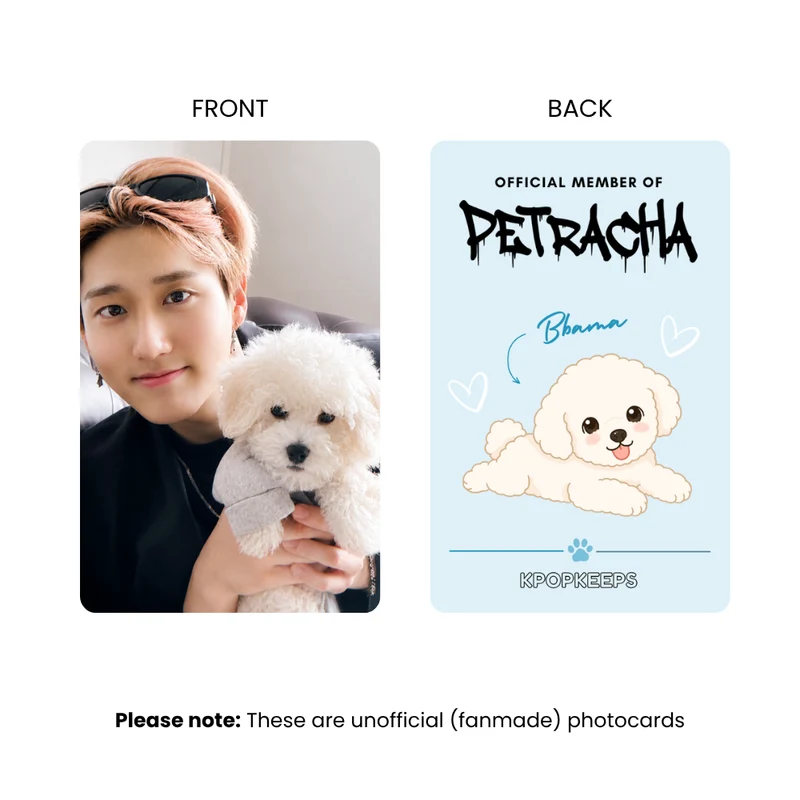 Stray Kids PetRacha Photocard Set | K-Pop Collectible