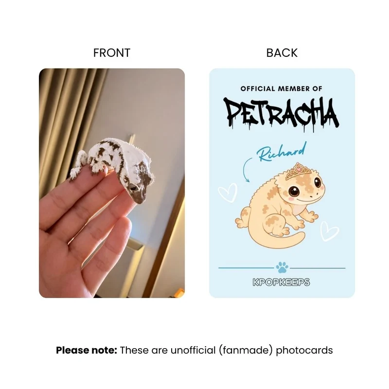 Stray Kids PetRacha Photocard Set | K-Pop Collectible