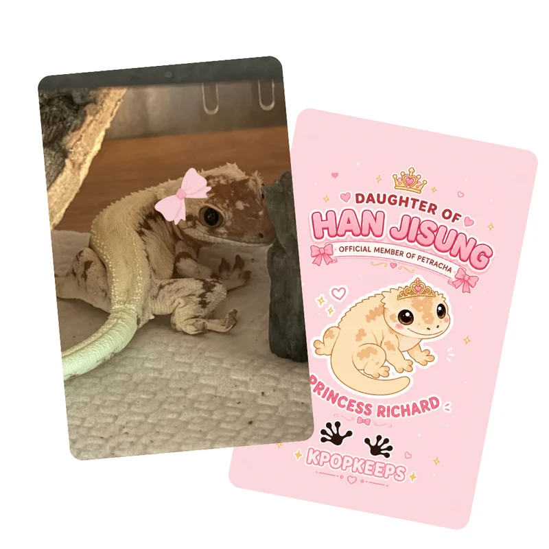 Princess Richard Photocard