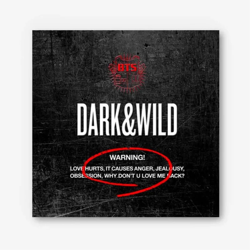 BTS – Dark & Wild Álbum