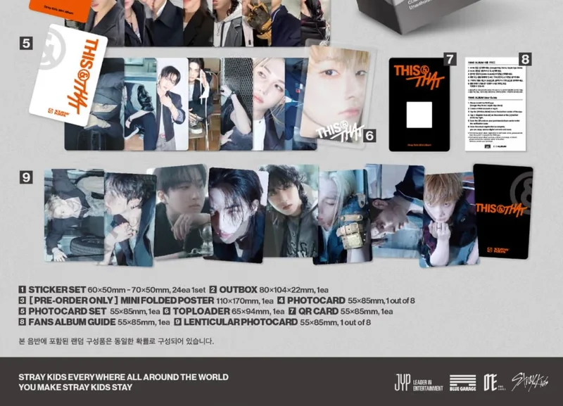 STRAY KIDS - THIS & THAT (FANS ALBUM VER.)