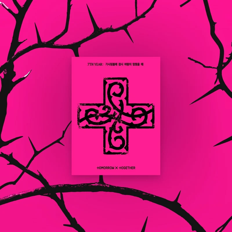 TOMORROW X TOGETHER TXT - 7TH YEAR: A Moment of Stillness in the Thorns (PPULBATU ver.(Weverse Albums ver.))